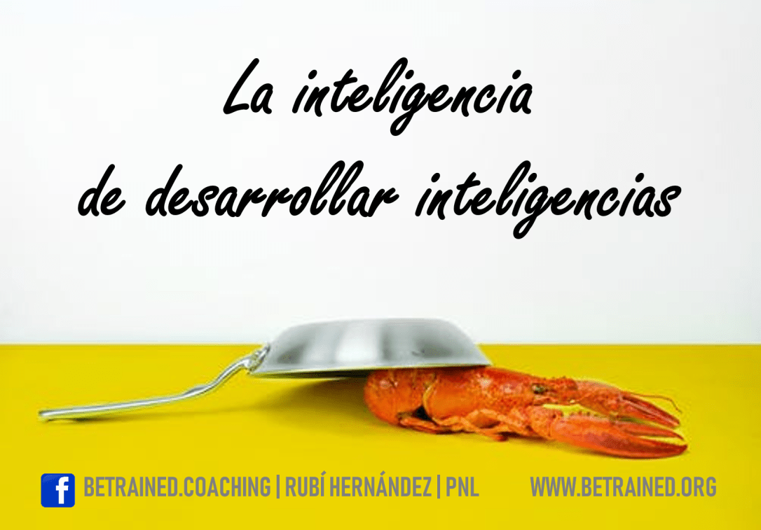 INTELIGENCIA